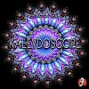 Download track Kaleydoscope (Original Mix)