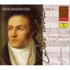 Download track 04. Sonate Pour Violon Et Piano No. 10 En Sol Majeur Op. 96 I. Allegro Moderato