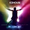Download track Icehouse
