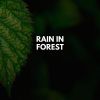 Download track Dripping Rainfall
