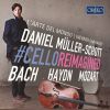Download track Cello Concerto No. 3 In A Major, Wq. 172: II. Largo Con Sordini, Mesto