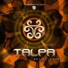 Download track We Come In Peace (Talpa Remix)