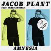 Download track Amnesia (Just Kiddin Remix)