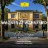 Download track Wesendonck Lieder, WWV 91 III. Im Treibhaus (Arr. Tarkmann For High Voice And Chamber Orchestra) (Live At Haus Wahnfried, Bayreuth 2020)