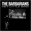 Download track Hey Little Bird (Original Mono Single)