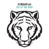Download track Eye Of The Tiger (Future House Edit)