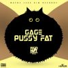 Download track Pussy Fat (Red Hot Peppa Riddim)