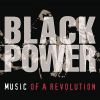 Download track We Want Black Power