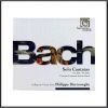 Download track 07 - BWV54 - 2. Recitativo- Die Art Verruchter Sunden