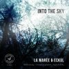 Download track Into The Sky