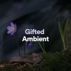 Download track Gifted Ambient, Pt. 4