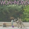 Download track Woahnows-Cold-1f4180c4