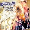 Download track Firebird - Original Mix