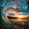 Download track Tidal