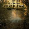 Download track Down In The Swamp