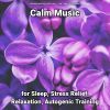 Download track Calm Music