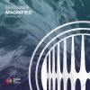 Download track Magnified