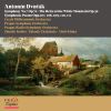 Download track Symphony No. 7 In D Minor, Op. 70, B. 141 IV. Finale. Allegro