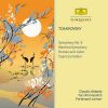 Download track Tchaikovsky: Manfred Symphony, Op. 58, TH. 28-3. Andante Con Moto