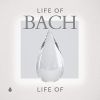 Download track Violin Partita No. 2 In D Minor, BWV 1004- V. Chaconne