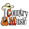 Download track Girl In A Country Song