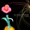 Download track Le Chaudron Et La Sorcière