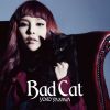 Download track Bad Cat