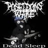 Download track Dead Sleep