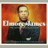 Download track Hoy Hoy - Elmore James & Little Johnny Jones
