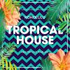 Download track Tropical Meet (Extended Mix)