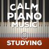 Download track Piano Sonata No. 8 In C Minor, Op. 13, Sonata Pathetique: II. Adagio Cantabile