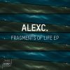 Download track Fragments Of Life