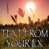 Download track Text From Your Ex - Tribute To Tinie Tempah And Tinashe