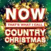 Download track All I Want For Christmas Is A Real Good Tan