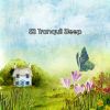 Download track Tranquil Home