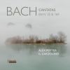 Download track 08. Leo Van Doeselaar - Toccata, Adagio And Fugue In C Major, BWV 564 I. Toccata