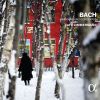 Download track 08 - Brandenburg Concerto No. 3 In G Major, BWV 1048 - I.... - II. Adagio