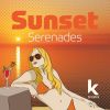 Download track Sunset Serenade (Continuous DJ Mix)
