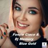 Download track Blue Gold (DJ Fonzie Radio Edit)