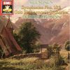 Download track 07 Symphony No. 2 In B-Flat Major, Op. 15- II. Andante Sostenuto