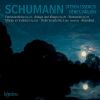 Download track Drei Romanzen, Op. 94 - 3. Nicht Schnell