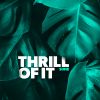 Download track Thrill Of It