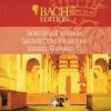 Download track Sacred Songs & Arias BWV 439 - 507 - VIII Vom Lieden Und Sterben Jesu Christi