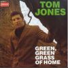 Download track Green Green Grass Of Home