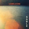 Download track SABLE 08