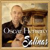 Download track Cuatro Elementos (Sevillanas)