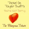 Download track You're Not Sorry