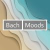 Download track Concerto In C Major, BWV 976 (From Vivaldi RV265) - Arr. For Harp And Orchestra By N. Zabaleta: 2. Largo