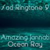 Download track Amazing Jannati Ocean Ray (Speed-Up Tik-Tok Remix)