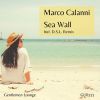 Download track Sea Wall (D. S. L. Remix)